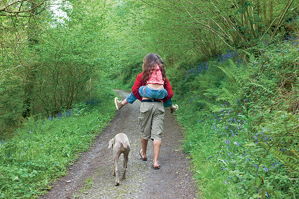 Classic Green holiday cottages. (Image of a walk through a green woodland scene)