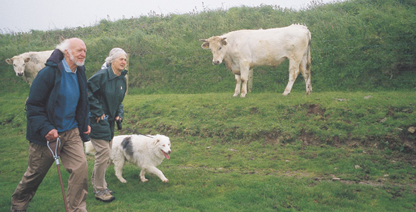 Taking pets to your holiday cottage and pet friendly holiday cottages.