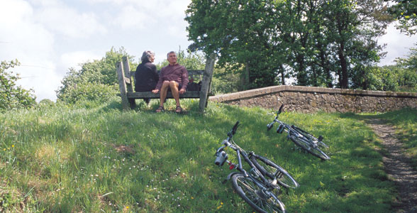 Use The Classic Guide to find the best that the area has to offer.