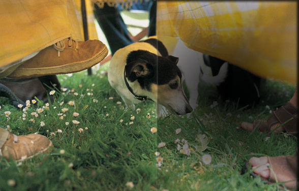 An Insider's View - Holiday letting advice from Classic Cottages.